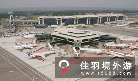 意大利米兰马尔彭萨机场欢庆中国新年