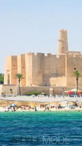 2017年中国赴突尼斯游客增幅超150%