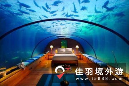 马尔代夫一酒店为新婚夫妇提供海底“洞房”