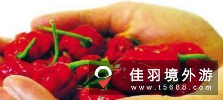 英国超市将出售世界上最辣的辣椒